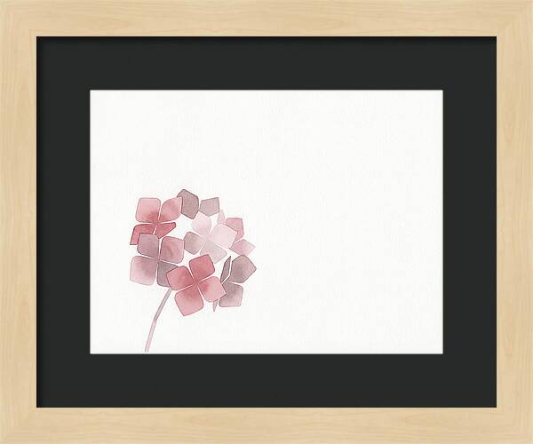 Pink Hydrangea Elegance