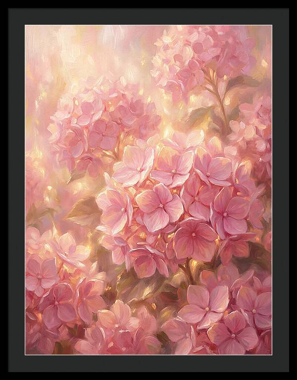 Pink Hydrangeas
