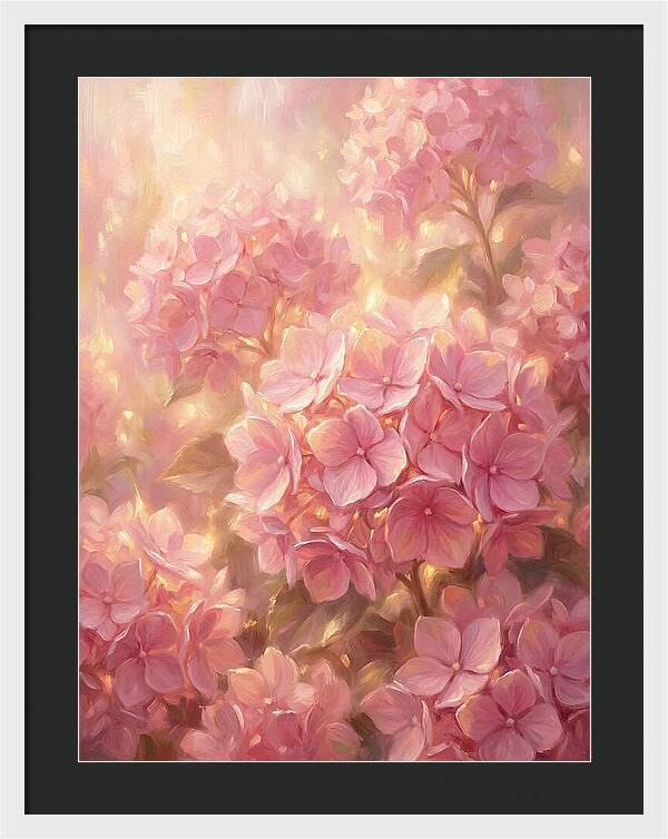Pink Hydrangeas