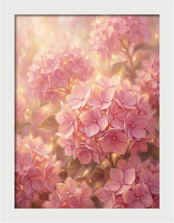 Pink Hydrangeas