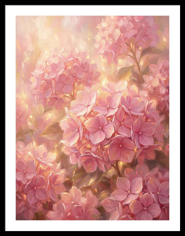 Pink Hydrangeas