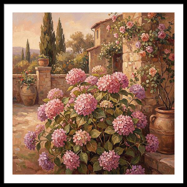 Pink Hydrangeas In A Mediterranean Garden
