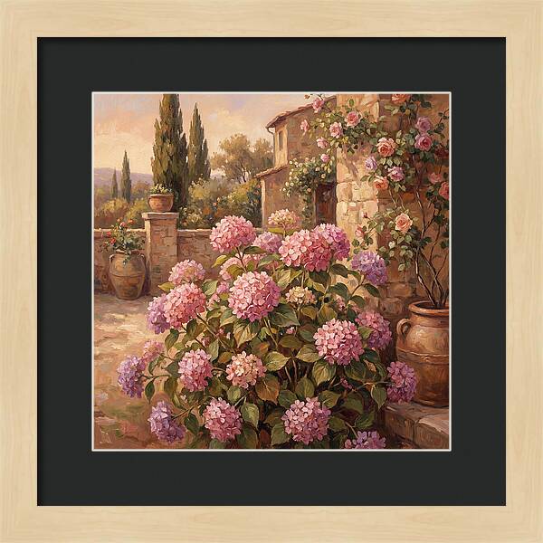 Pink Hydrangeas In A Mediterranean Garden