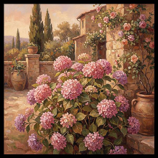 Pink Hydrangeas In A Mediterranean Garden