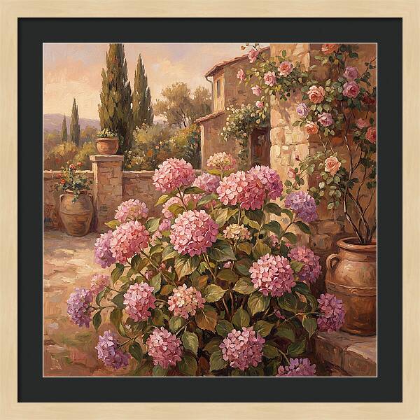 Pink Hydrangeas In A Mediterranean Garden