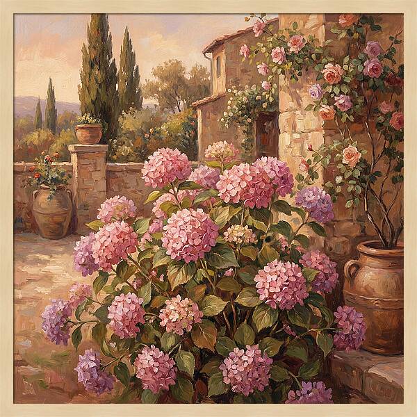 Pink Hydrangeas In A Mediterranean Garden