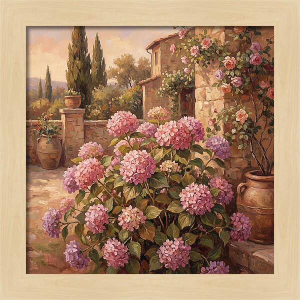 Pink Hydrangeas In A Mediterranean Garden
