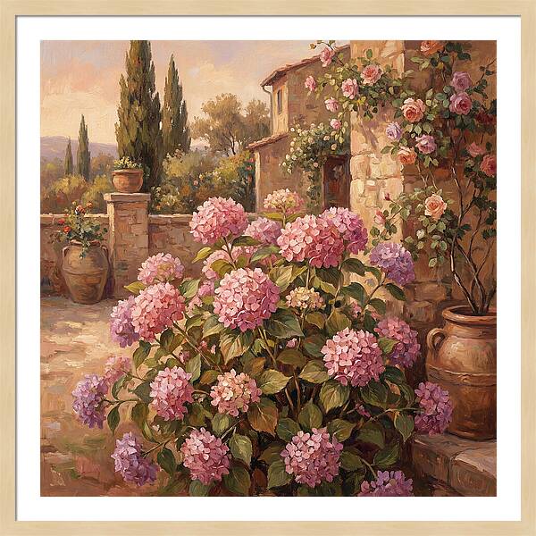 Pink Hydrangeas In A Mediterranean Garden