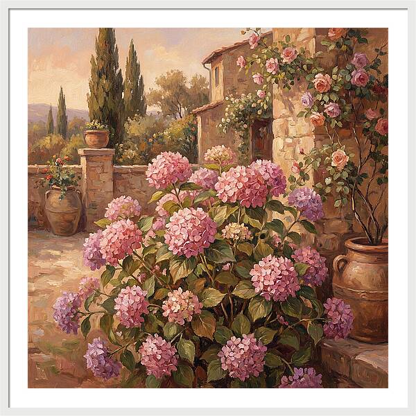 Pink Hydrangeas In A Mediterranean Garden
