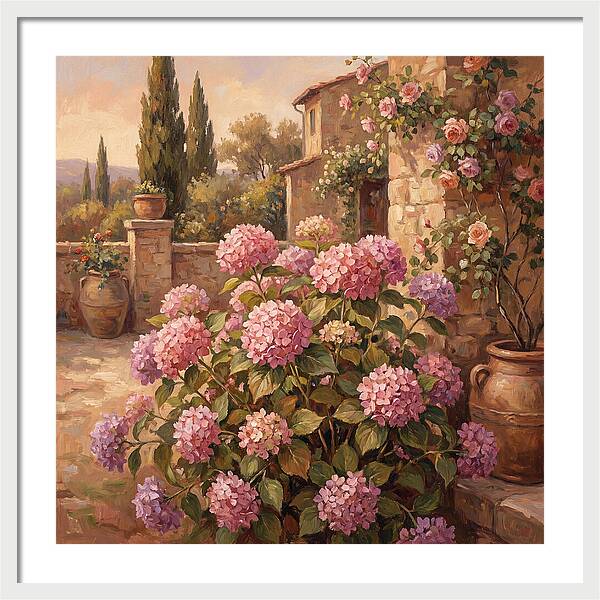 Pink Hydrangeas In A Mediterranean Garden