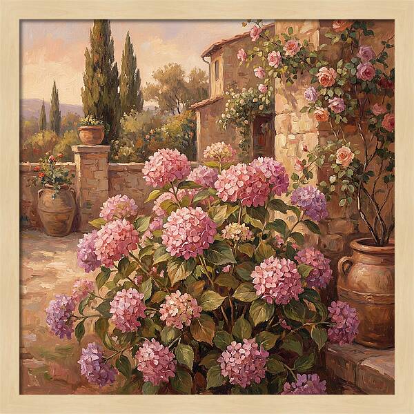Pink Hydrangeas In A Mediterranean Garden