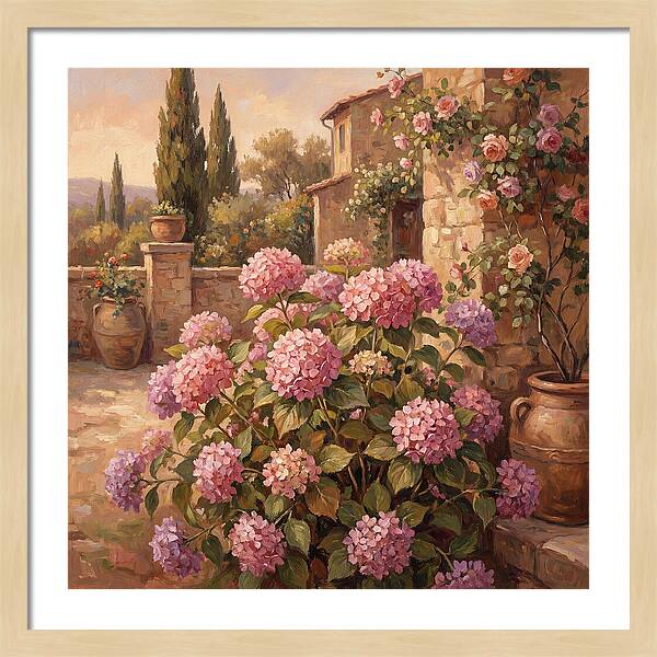 Pink Hydrangeas In A Mediterranean Garden