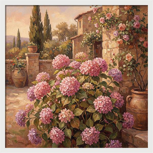 Pink Hydrangeas In A Mediterranean Garden