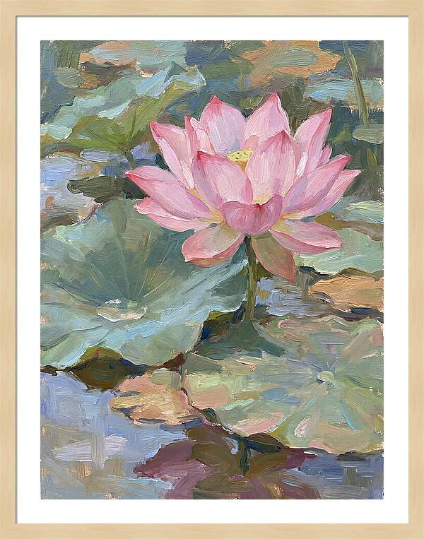 Pink Lotus Blossom Serenity