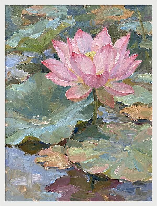 Pink Lotus Blossom Serenity