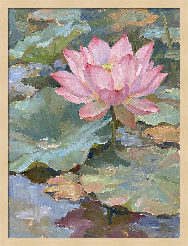 Pink Lotus Blossom Serenity