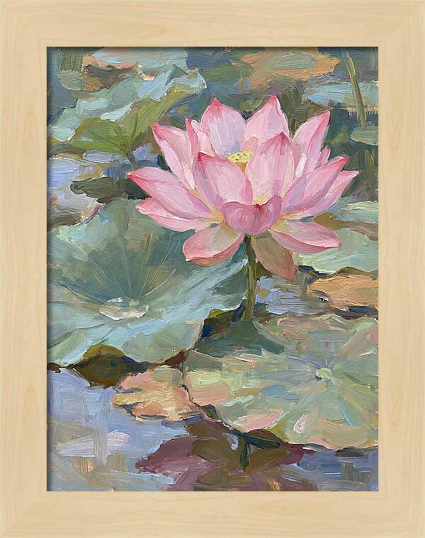Pink Lotus Blossom Serenity