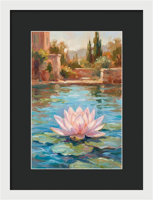 Pink Lotus In Tranquil Waters