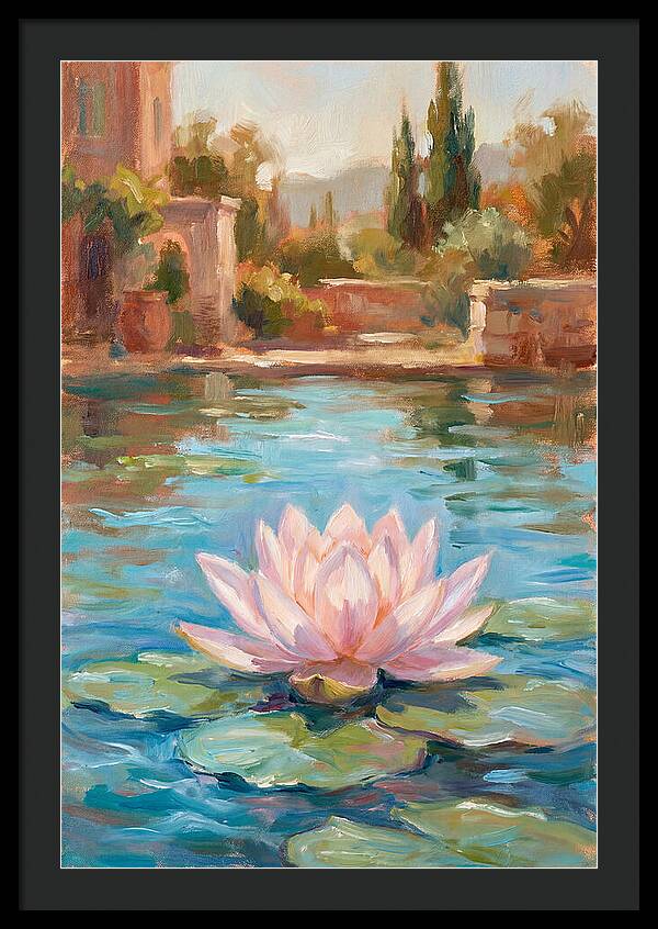 Pink Lotus In Tranquil Waters