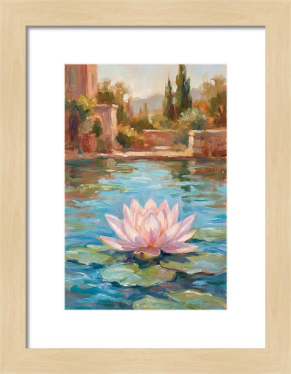 Pink Lotus In Tranquil Waters