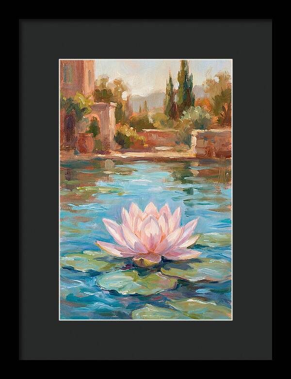 Pink Lotus In Tranquil Waters