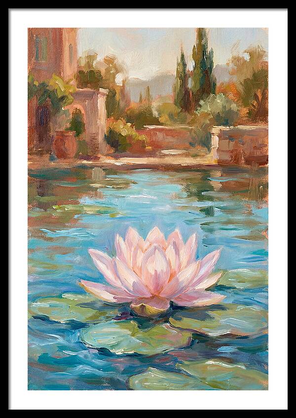Pink Lotus In Tranquil Waters