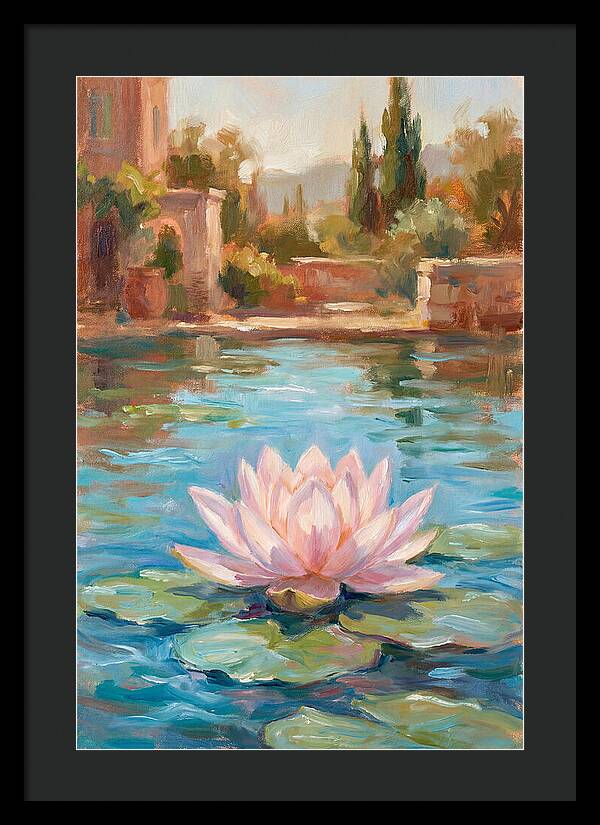 Pink Lotus In Tranquil Waters