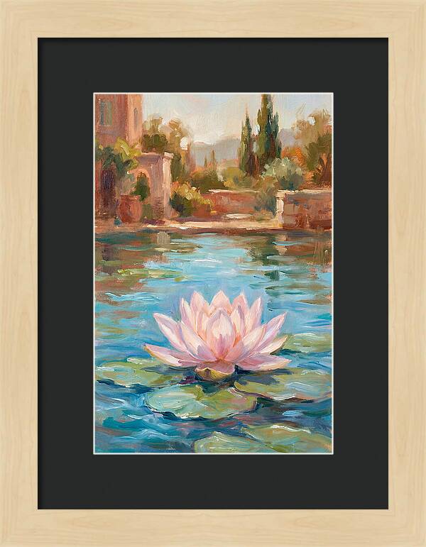 Pink Lotus In Tranquil Waters
