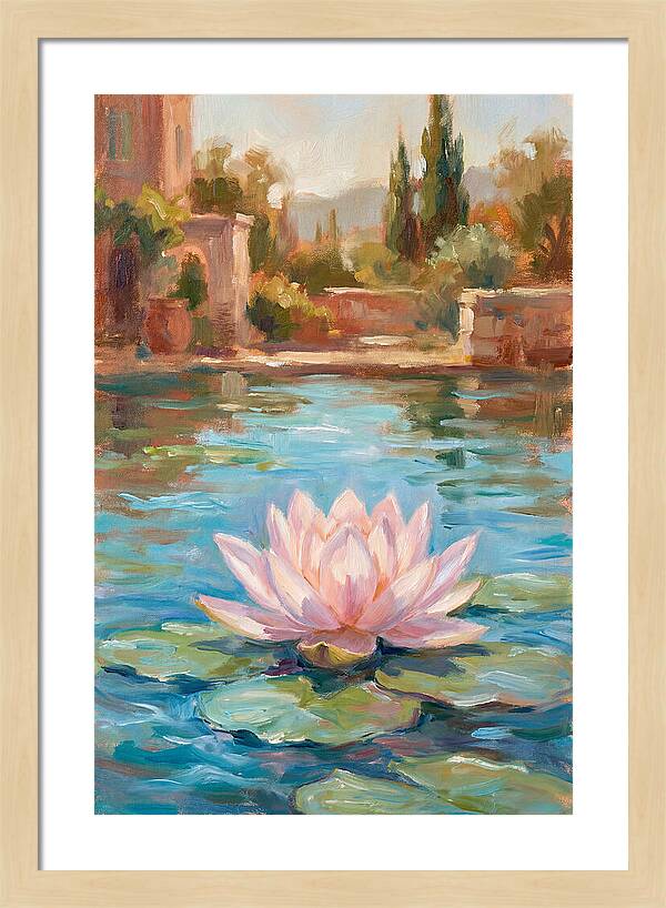 Pink Lotus In Tranquil Waters