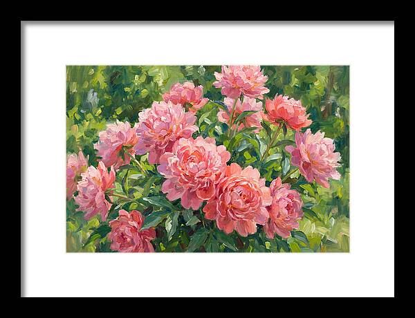 Pink Peonies In Bloom