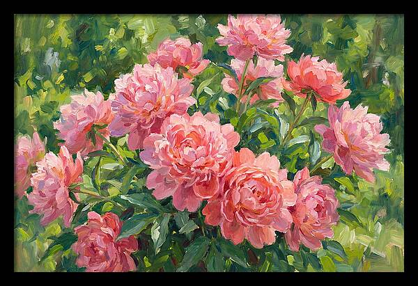 Pink Peonies In Bloom
