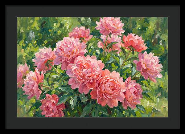 Pink Peonies In Bloom