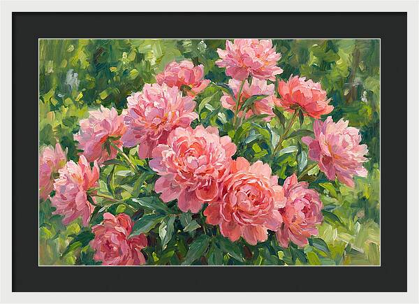 Pink Peonies In Bloom