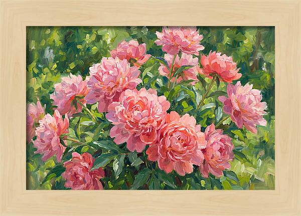 Pink Peonies In Bloom