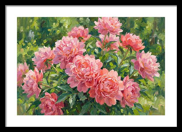 Pink Peonies In Bloom