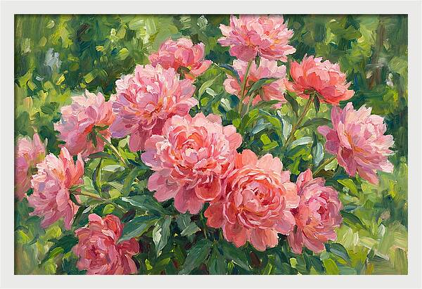 Pink Peonies In Bloom