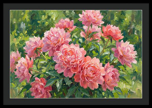 Pink Peonies In Bloom