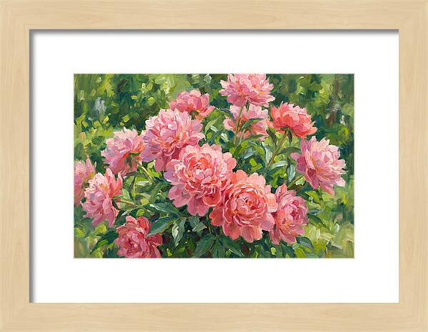Pink Peonies In Bloom
