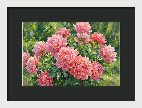 Pink Peonies In Bloom