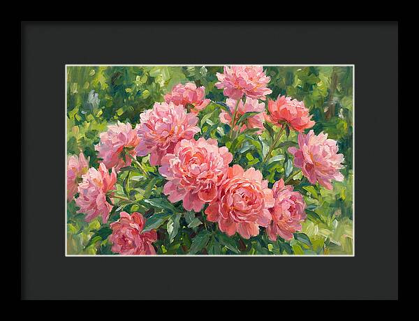 Pink Peonies In Bloom