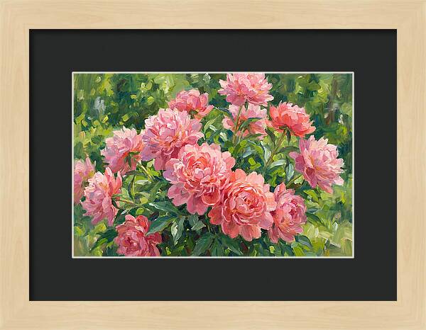 Pink Peonies In Bloom