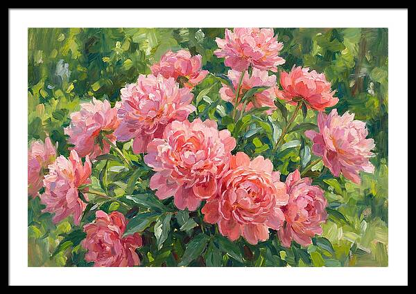 Pink Peonies In Bloom
