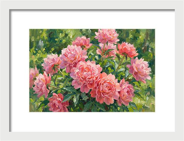 Pink Peonies In Bloom