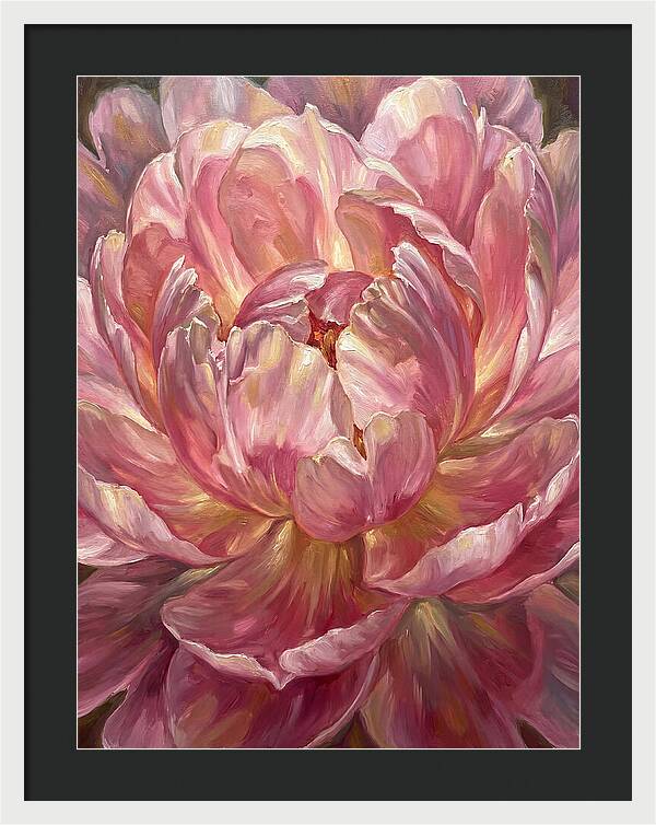 Pink Peony Bloom