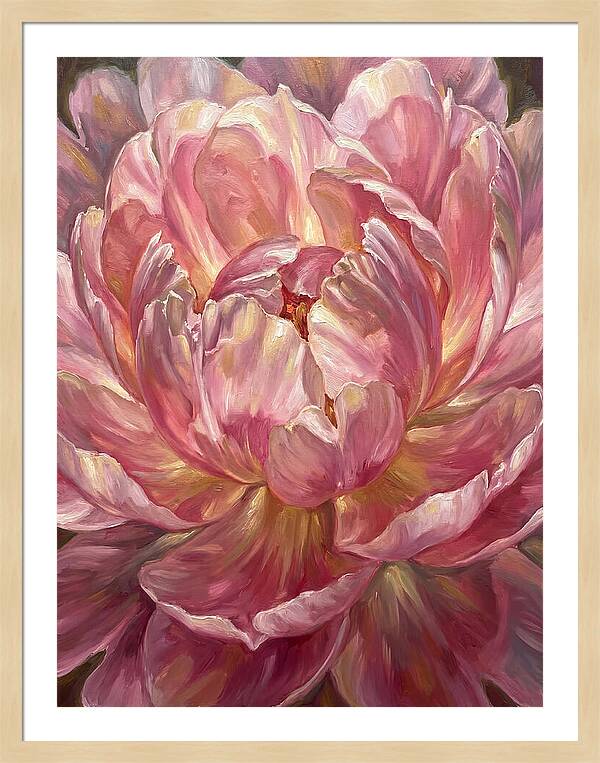 Pink Peony Bloom