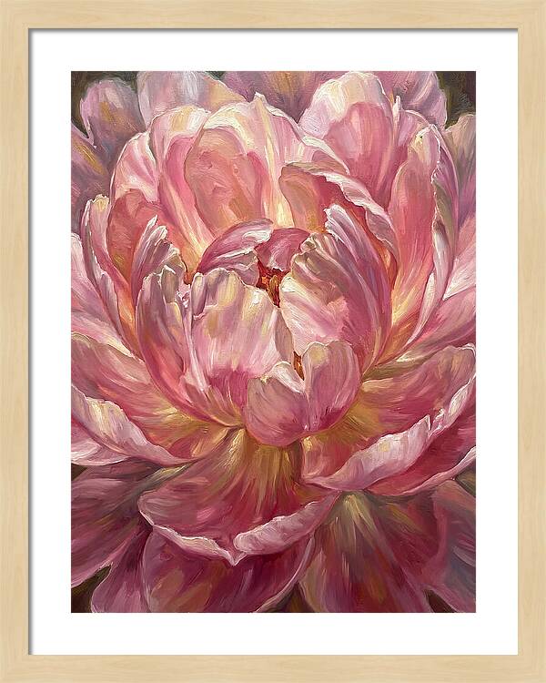 Pink Peony Bloom