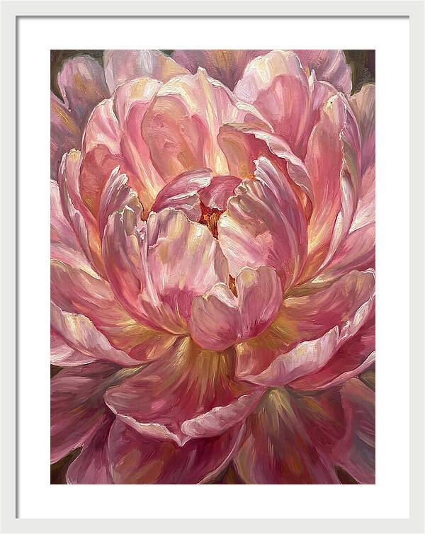Pink Peony Bloom