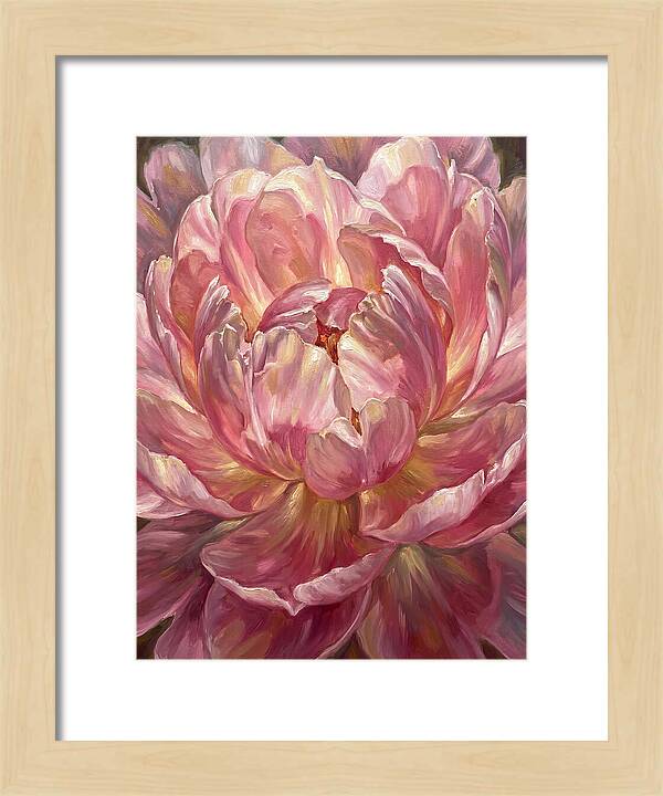 Pink Peony Bloom