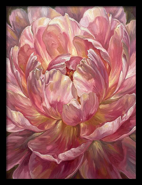Pink Peony Bloom