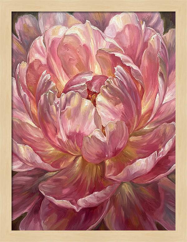 Pink Peony Bloom